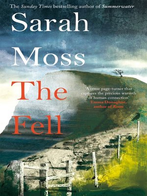 cover image of The Fell